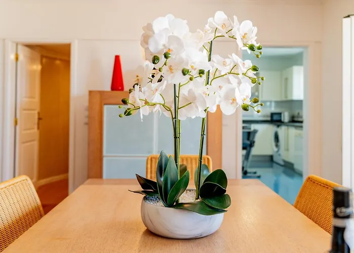 Ana's Place * Funchal (Madeira)