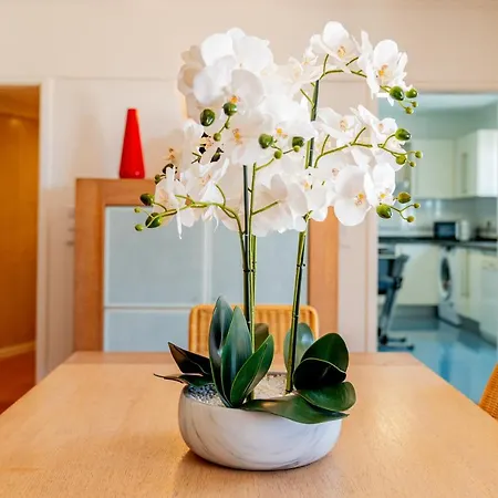 Ana's Place * 丰沙尔