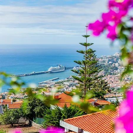 Ana's Place Апартаменты Фуншал